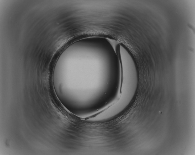 X0000090970440200708301230