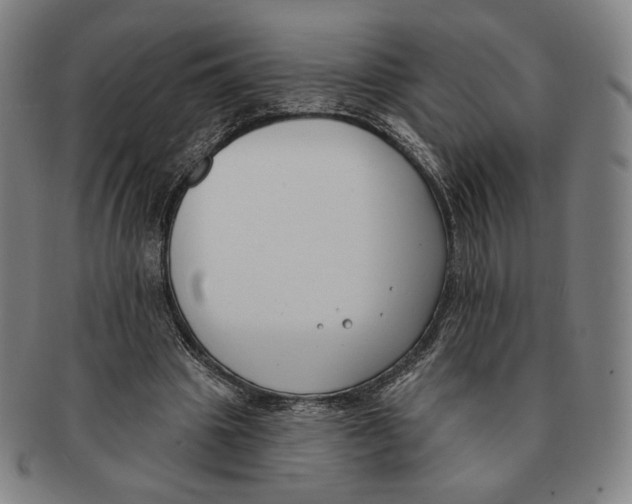 X0000090970441200708301230