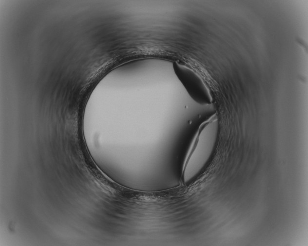 X0000090970442200708301230