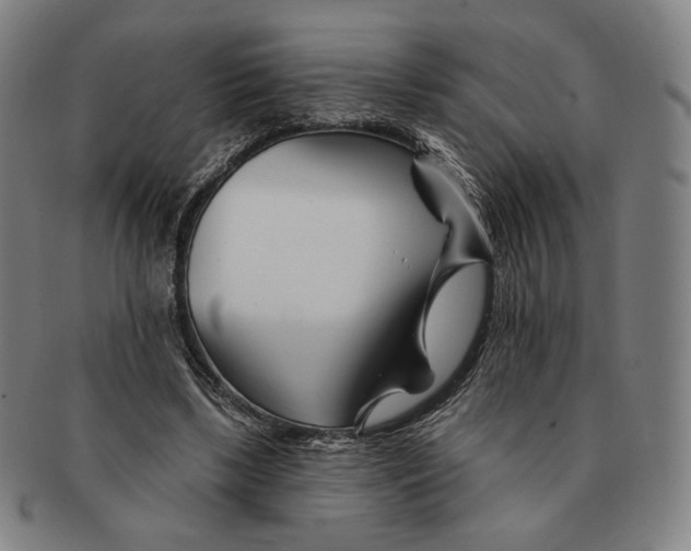 X0000090970443200708301230
