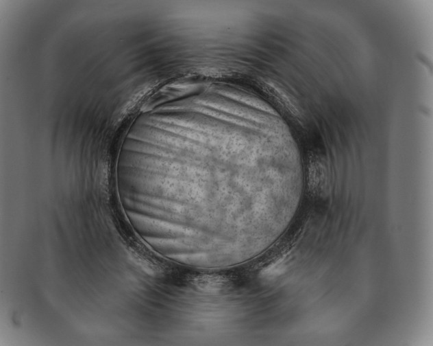 X0000090970444200708301230