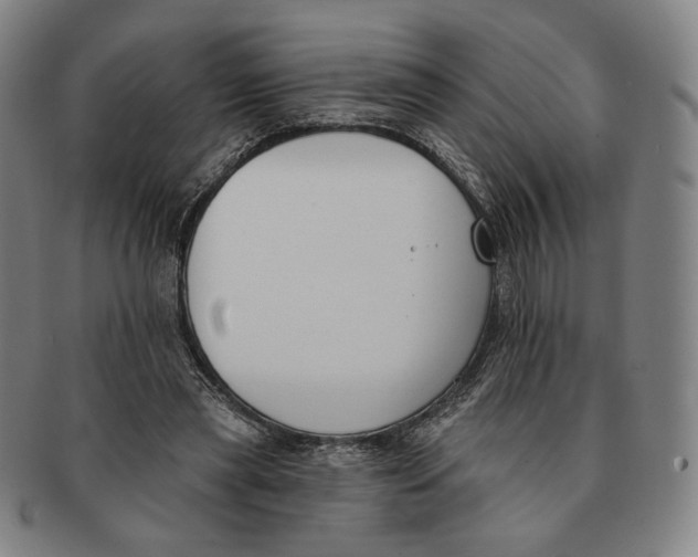 X0000090970445200708301230