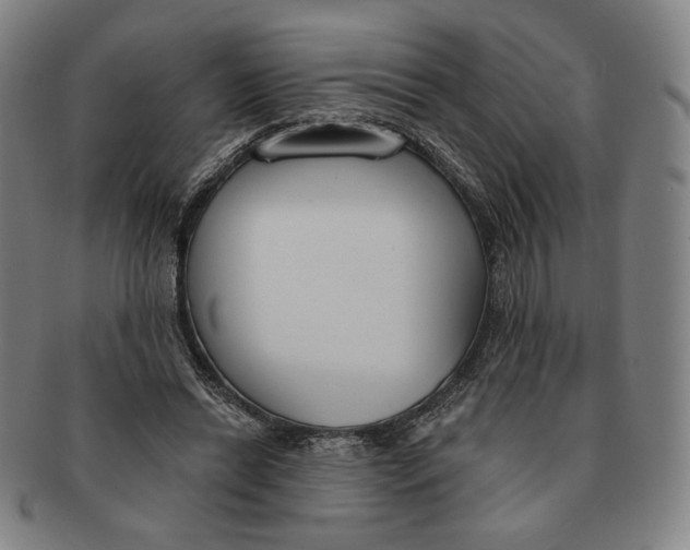 X0000090970446200708301230