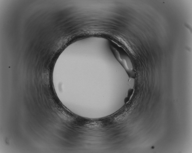 X0000090970447200708301230