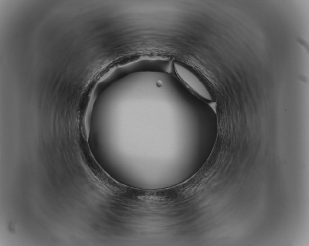 X0000090970448200708301230