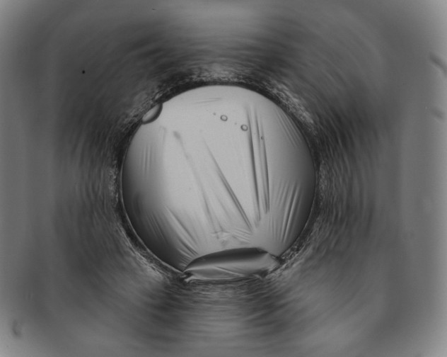 X0000090970449200708301230