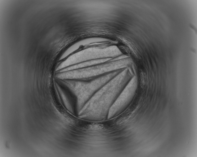 X0000090970451200708301230