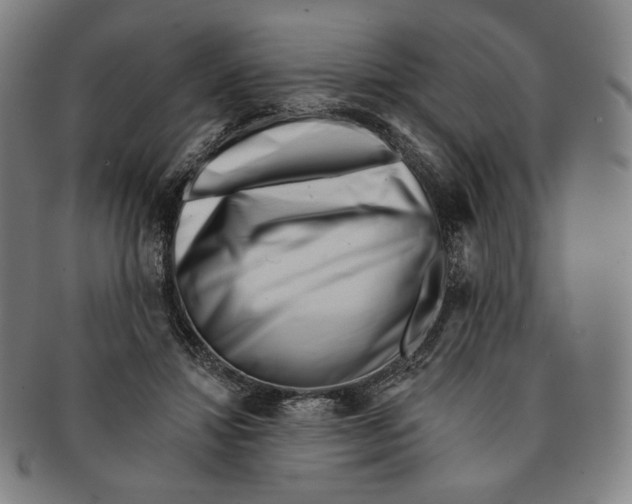 X0000090970452200708301230