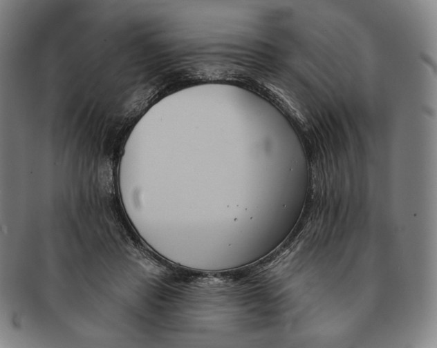 X0000090970453200708301230