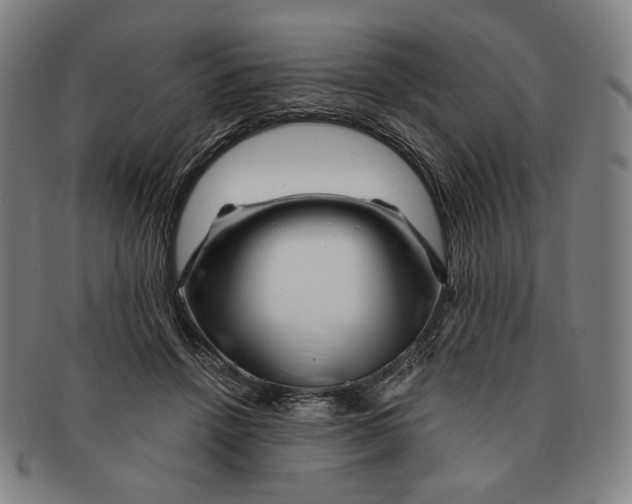 X0000090970456200708301230