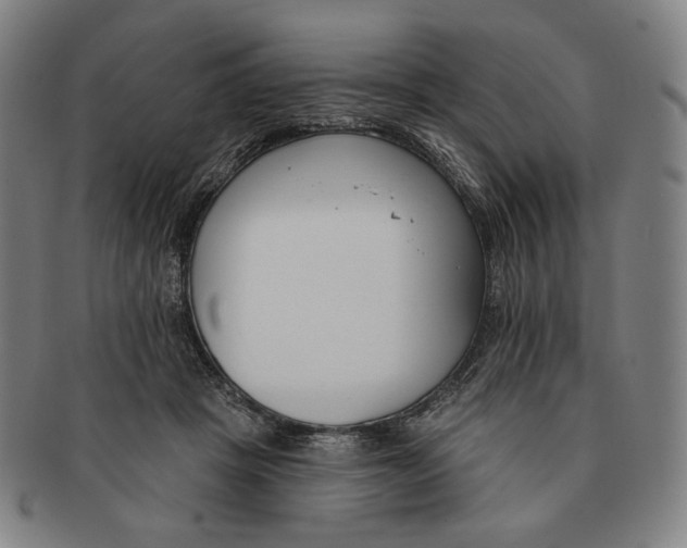 X0000090970457200708301230