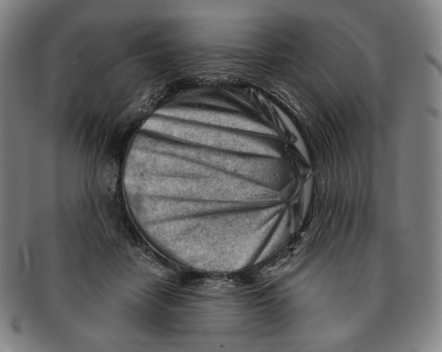X0000090970458200708301230