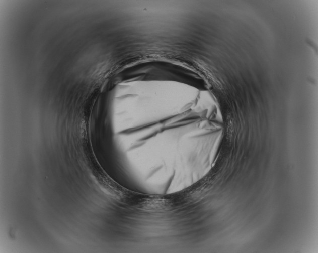 X0000090970459200708301230