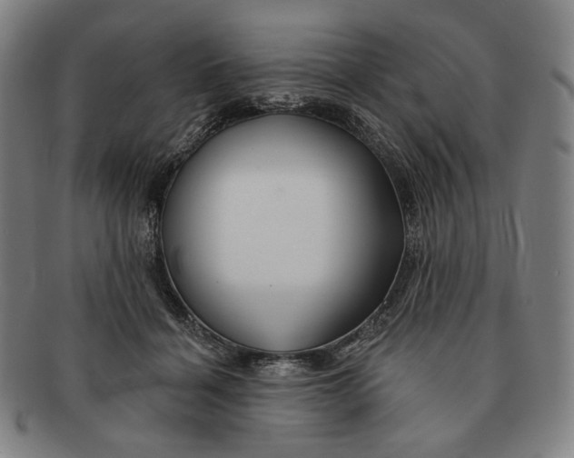 X0000090970460200708301230
