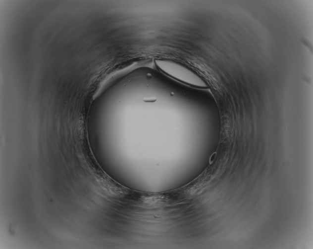 X0000090970461200708301230