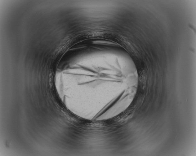 X0000090970462200708301230