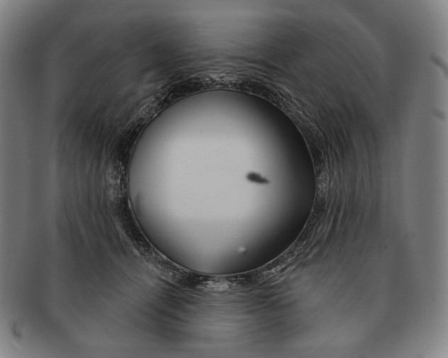 X0000090970464200708301230