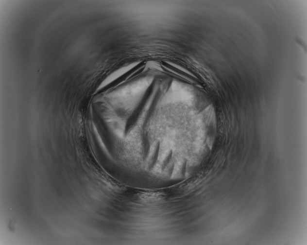 X0000090970465200708301230
