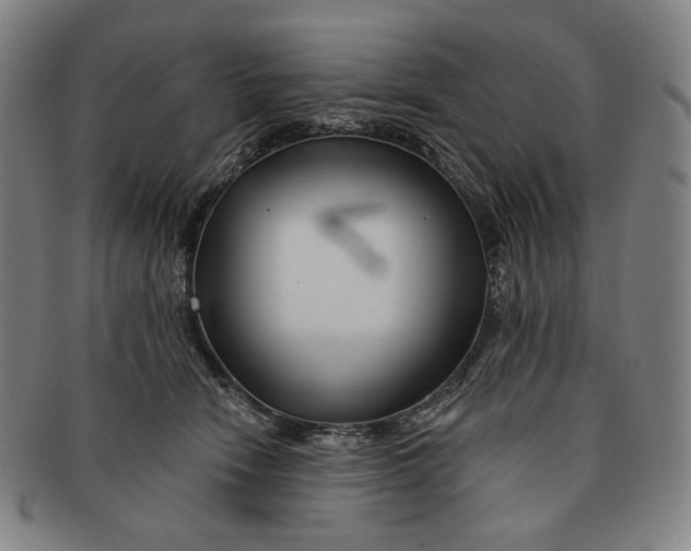 X0000090970466200708301230