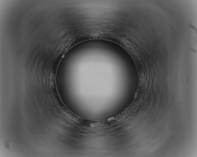 X0000090970470200708301230