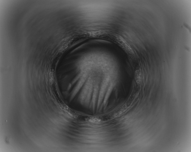 X0000090970471200708301230