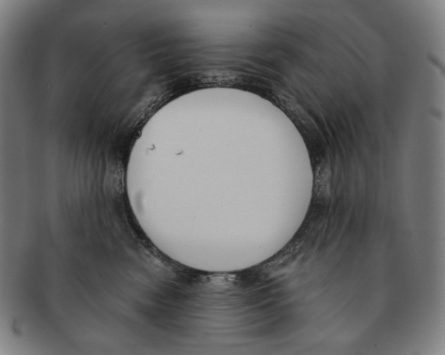 X0000090970474200708301230