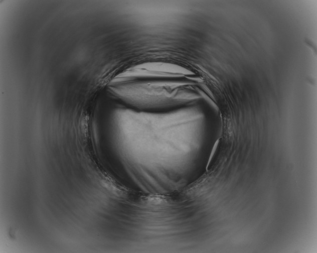 X0000090970475200708301230
