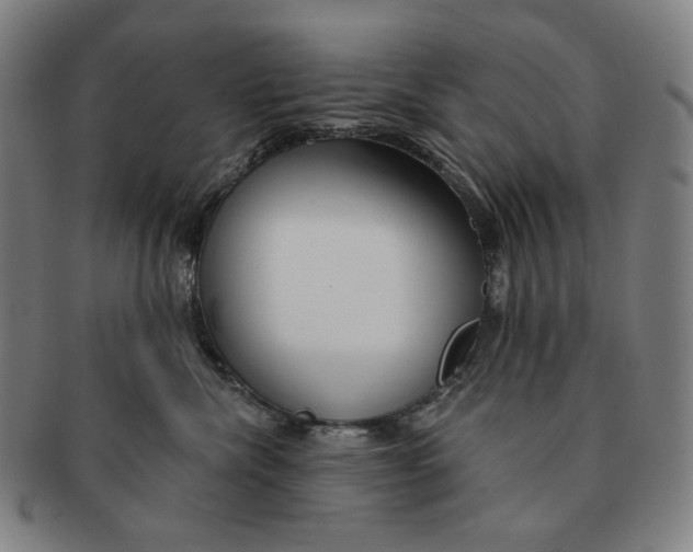 X0000090970476200708301230