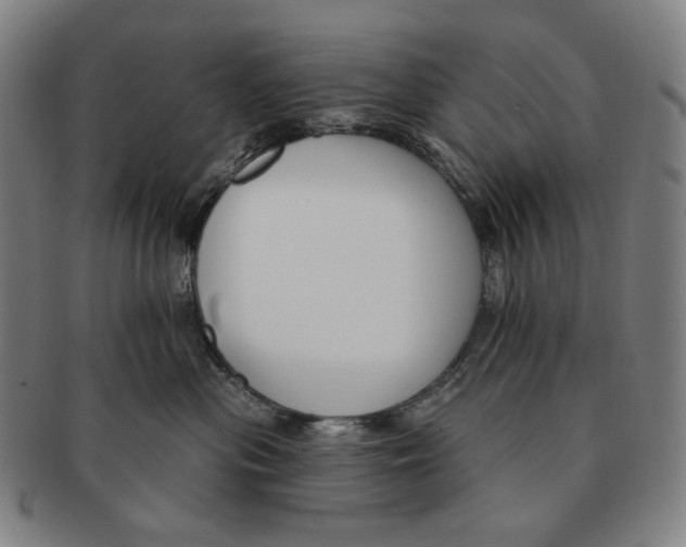 X0000090970477200708301230