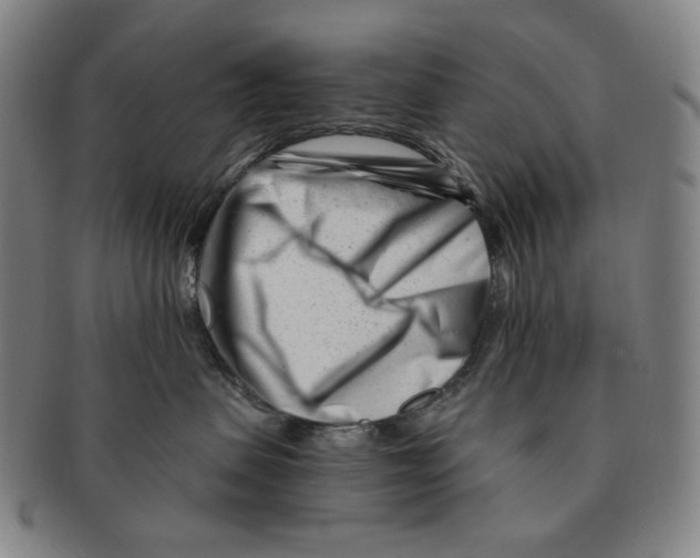 X0000090970479200708301230