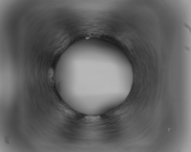 X0000090970480200708301230