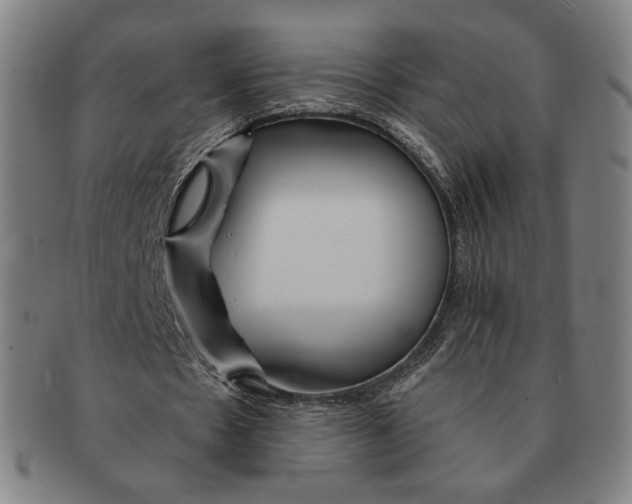 X0000090970481200708301229