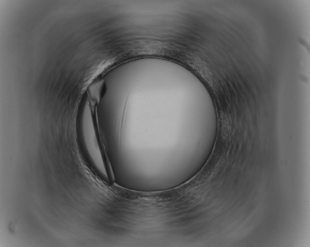 X0000090970482200708301229