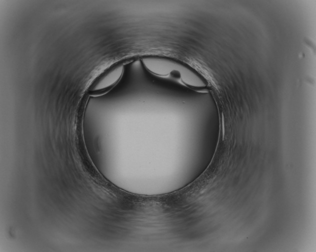 X0000090970483200708301229
