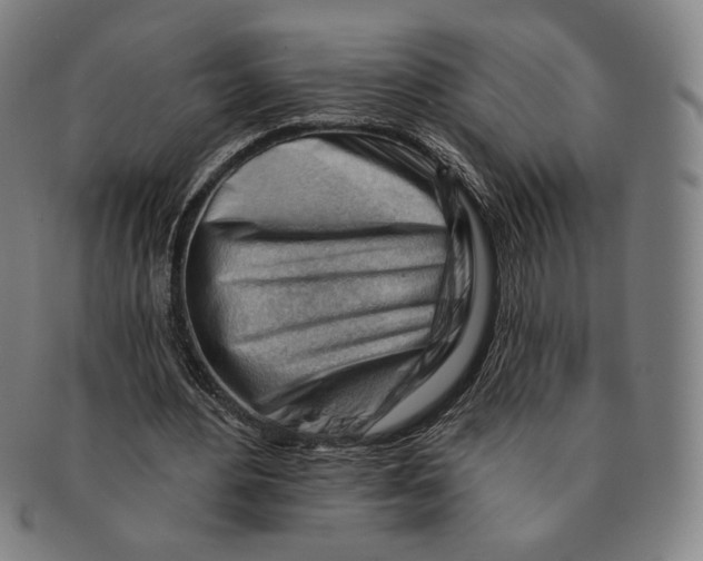 X0000090970484200708301229