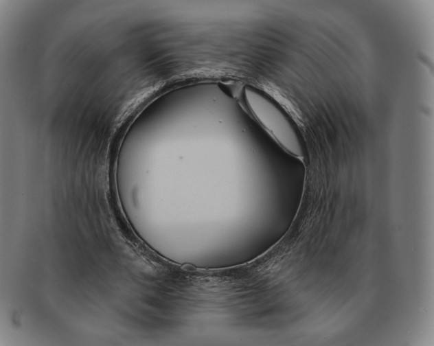 X0000090970486200708301229
