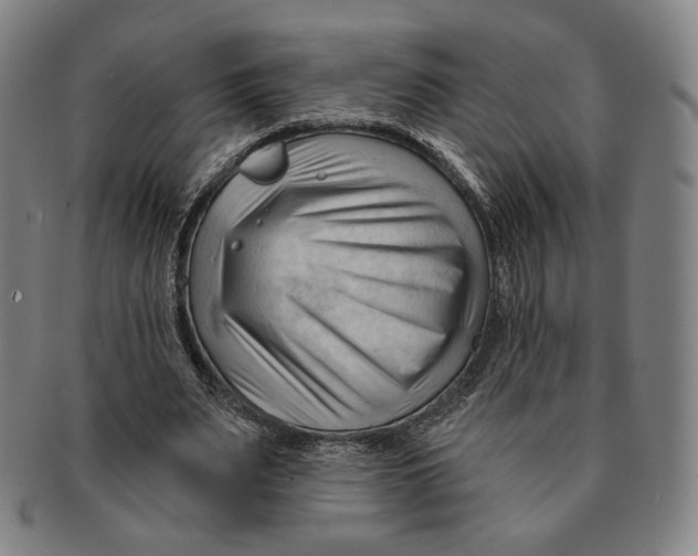 X0000090970487200708301229