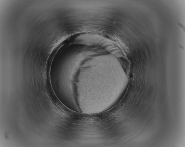 X0000090970488200708301229