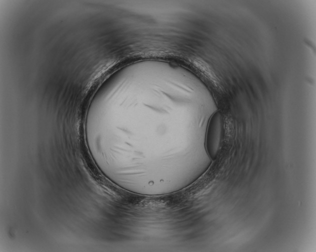X0000090970491200708301229