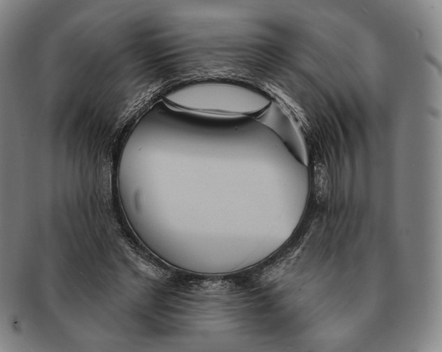 X0000090970493200708301229