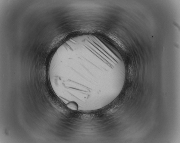 X0000090970494200708301229