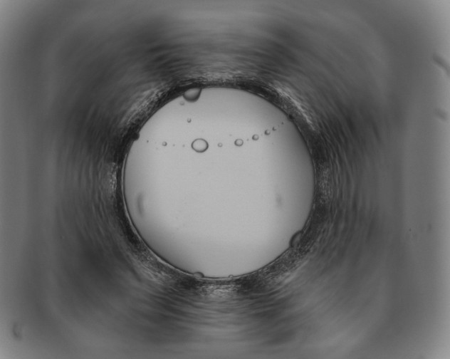 X0000090970495200708301229