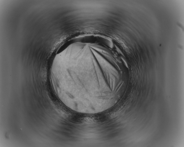 X0000090970496200708301229