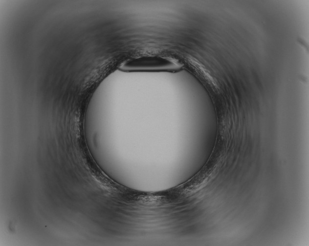 X0000090970497200708301229