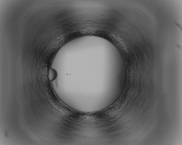 X0000090970498200708301229