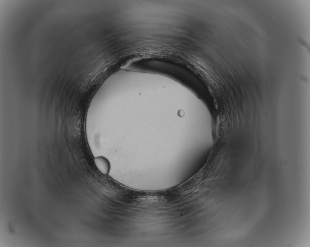 X0000090970499200708301229