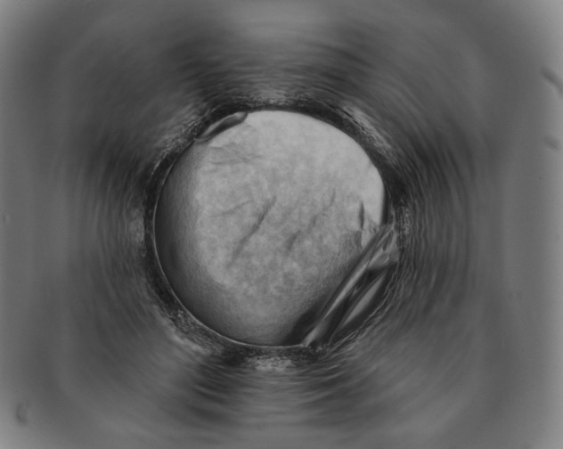 X0000090970500200708301229