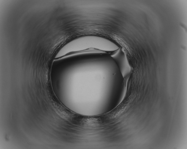 X0000090970501200708301229
