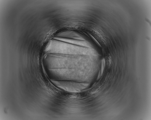 X0000090970504200708301229