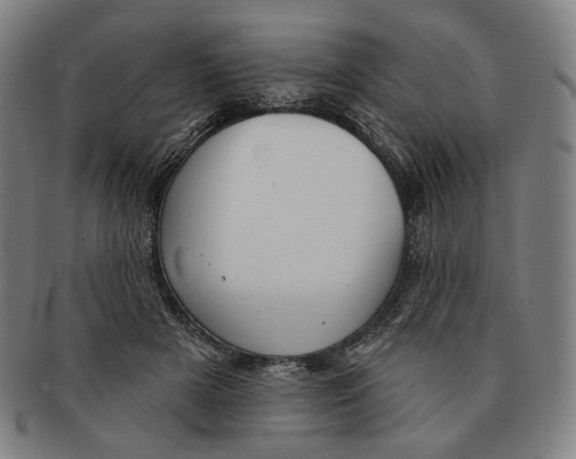 X0000090970505200708301229